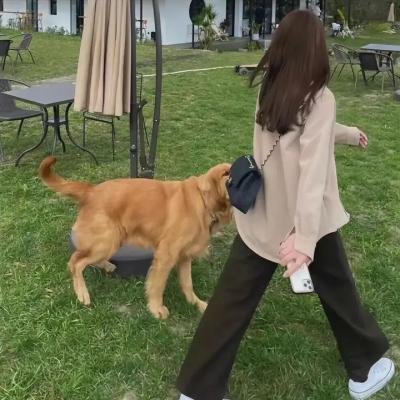 维琴河第六季