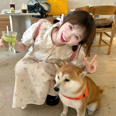 孔雀的羽毛